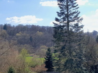 Apartment Ferienwohnung mit großzügiger Liegewiese - Outdoor photo 9