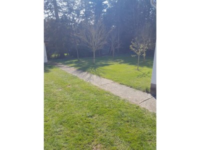 Apartment Ferienwohnung mit großzügiger Liegewiese - Outdoor photo 17