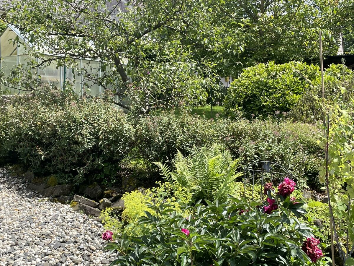 Apartment Ferien in einem historischen Fachwerkhaus - Outdoor photo 5