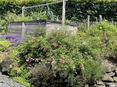 Apartment Ferien in einem historischen Fachwerkhaus - Outdoor photo 4
