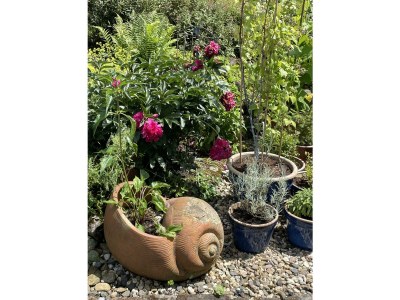 Apartment Ferien in einem historischen Fachwerkhaus - Outdoor photo 6