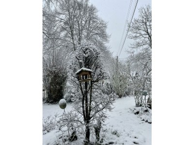 Apartment Ferien in einem historischen Fachwerkhaus - Outdoor photo 9