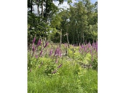 Apartment Ferien in einem historischen Fachwerkhaus - Outdoor photo 15