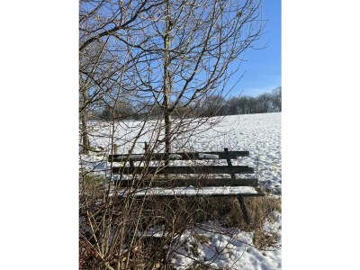 Apartment Ferien in einem historischen Fachwerkhaus - Outdoor photo 21