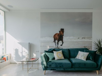 Apartment Pannonia Apartment - Outdoor photo 3