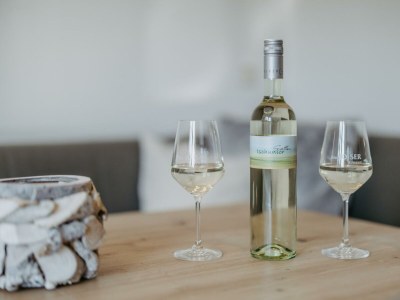 Apartment Pannonia Apartment - Features photo 18