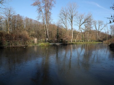 Holiday house Gîte en Haute Saône - Environment photo 24