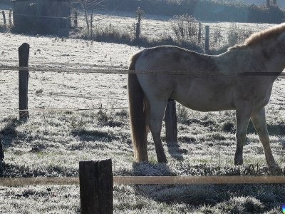 Holiday house Gîte en Haute Saône - Environment photo 25
