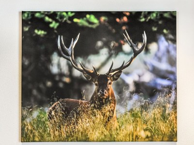 Apartment Golden Lodges Rauris Resort near the ski lift - Outdoor photo 32