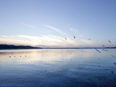 Holiday park Apartement im Maremüritz mit Müritzblick - Environment photo 16