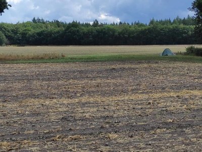 Holiday house Holiday Home in Voorthuizen near Forest - Environment photo 34