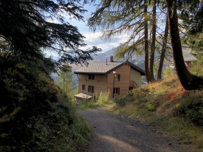 Holiday apartment on the edge of the woods, Chalet Tilly - Outdoor photo 2