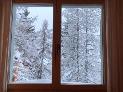 Holiday apartment on the edge of the woods, Chalet Tilly - Features photo 19