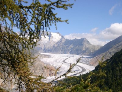 Holiday apartment on the edge of the woods, Chalet Tilly - Environment photo 21