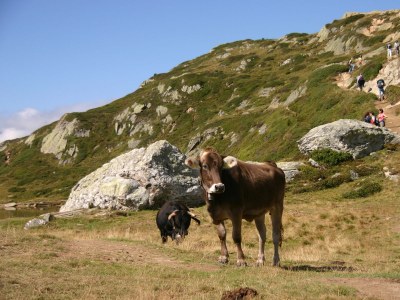 Holiday apartment on the edge of the woods, Chalet Tilly - Environment photo 23