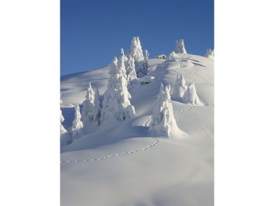 Holiday apartment on the edge of the woods, Chalet Tilly - Environment photo 24