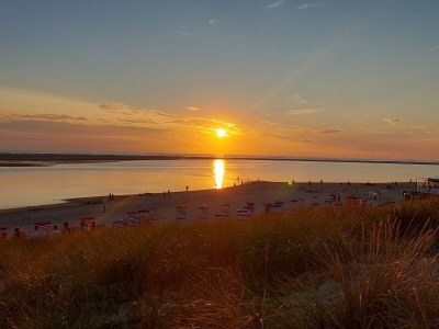 Holiday apartment Villa Neptun - Holly - Environment photo 21