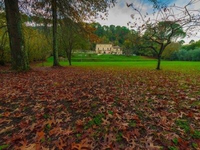 Villa Villa in Tuscany near Lucca and Pisa - Outdoor photo 31