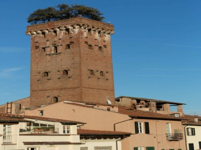 Apartment Apartment in Lucca near Torre Guinigi - Outdoor photo 3