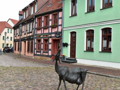 Apartment Ferienwohnung Backbord im Zentrum von Röbel - Environment photo 34