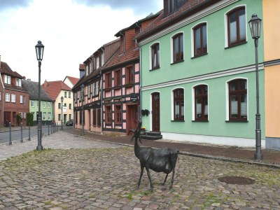 Apartment Ferienwohnung Backbord im Zentrum von Röbel - Environment photo 36