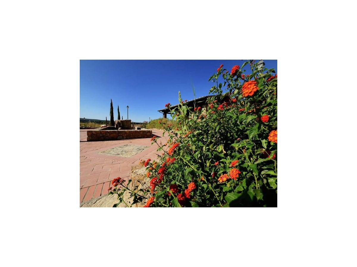 Holiday house House in Tuscany near Baratti Beach - Outdoor photo 4