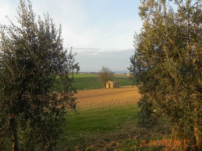 Holiday house House in Tuscany near Baratti Beach - Outdoor photo 11