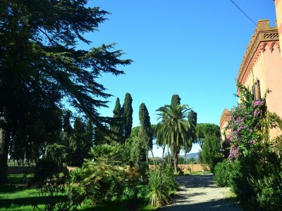 Holiday house House in Tuscany near Baratti Beach - Environment photo 32