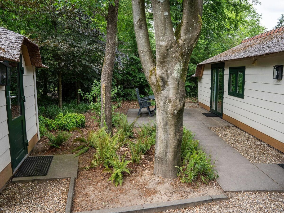 Holiday house Bauernhaus in Veluwe am Speulderbos - Outdoor photo 3