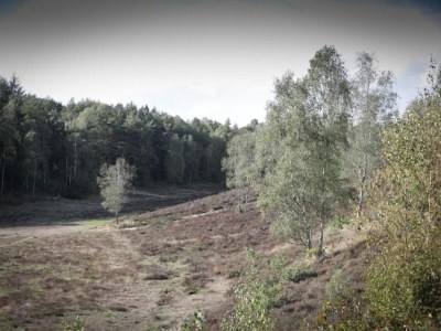 Holiday house Bauernhaus in Veluwe am Speulderbos - Environment photo 16