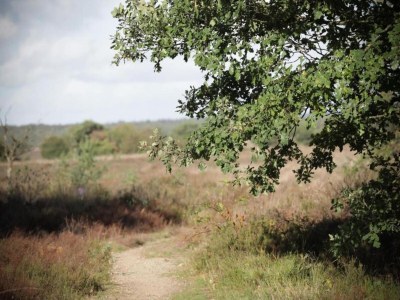 Holiday house Bauernhaus in Veluwe am Speulderbos - Environment photo 22