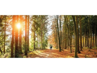 Holiday house Bauernhaus in Veluwe am Speulderbos - Environment photo 31