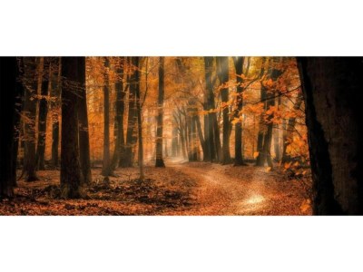 Holiday house Bauernhaus in Veluwe am Speulderbos - Environment photo 34