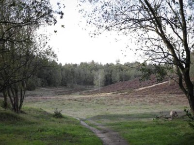Holiday house Bauernhaus in Veluwe am Speulderbos - Environment photo 37