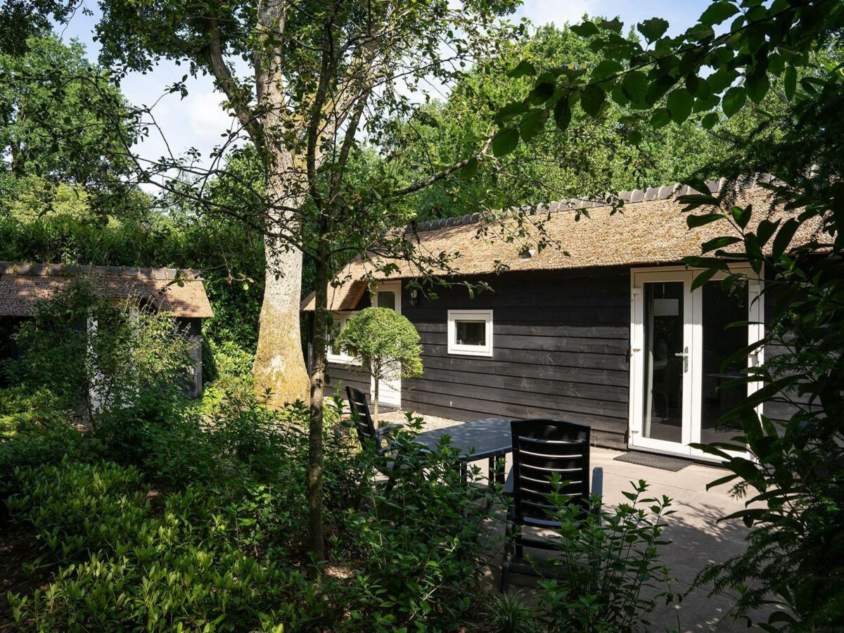 Holiday house Hütte in Veluwe am Speulderbos Wald - Outdoor photo 2