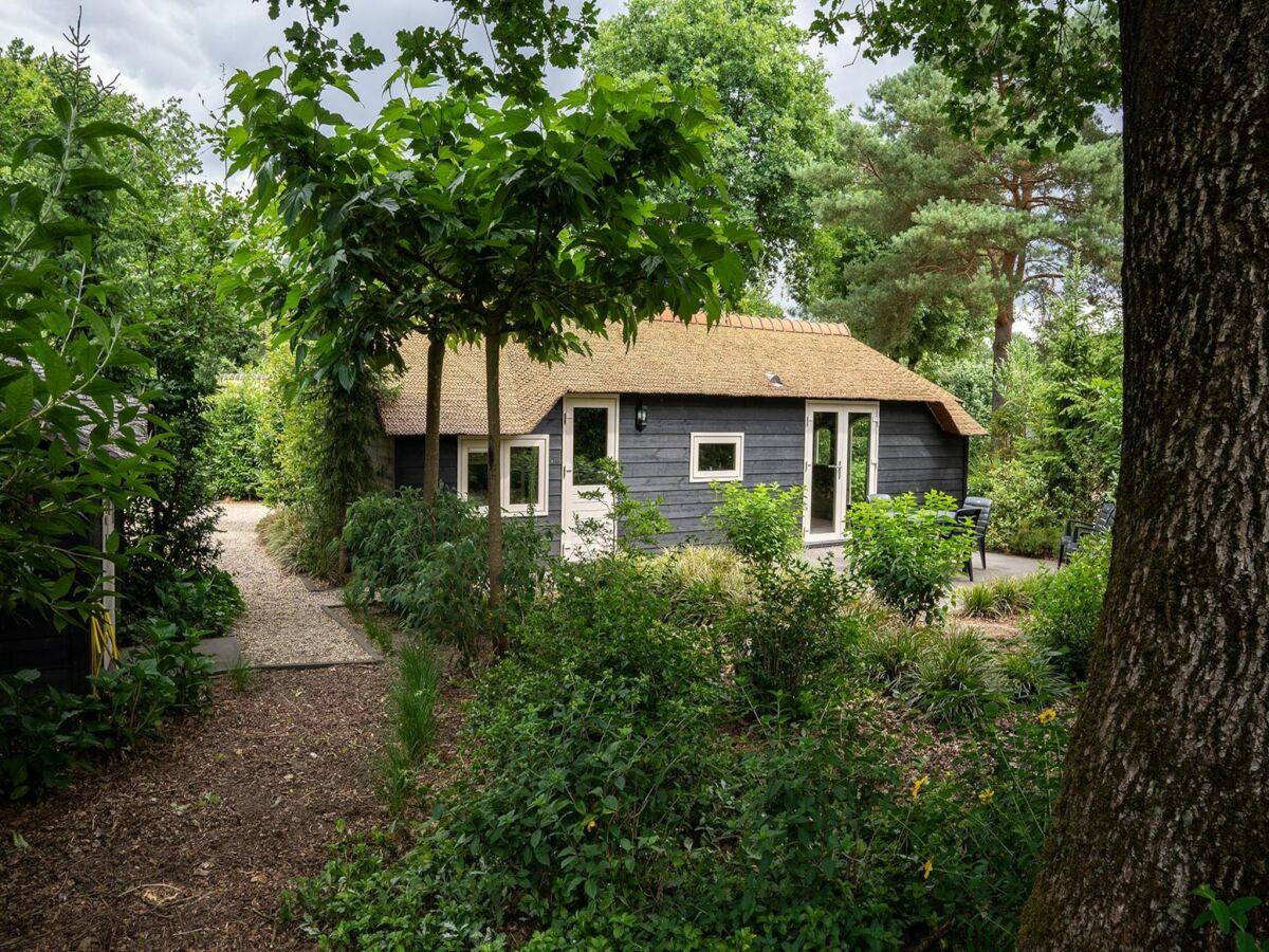 Holiday house Hütte in Veluwe am Speulderbos Wald - Outdoor photo 5