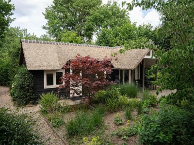 Holiday house Hütte in Veluwe am Speulderbos Wald - Outdoor photo 4
