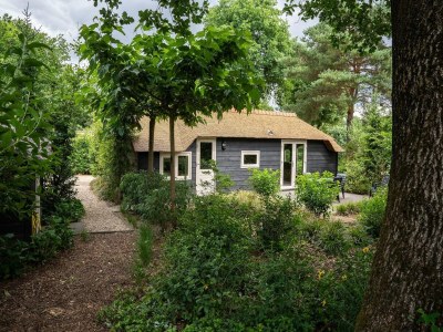 Holiday house Hütte in Veluwe am Speulderbos Wald - Outdoor photo 5