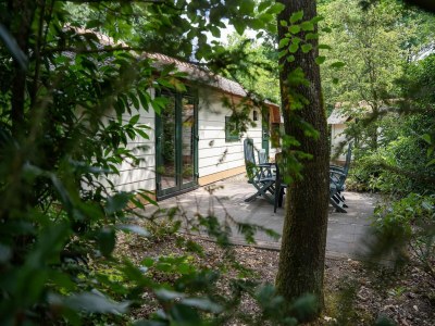 Holiday house Hütte in Veluwe am Speulderbos Wald - Outdoor photo 7