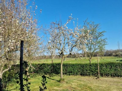 Holiday house Hütte in Veluwe am Speulderbos Wald - Environment photo 31