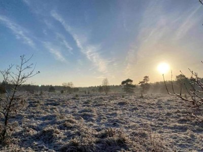 Holiday house Pets Welcome, Veluwe Farmhouses for All - Environment photo 34