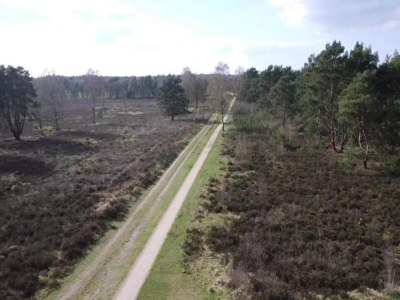 Holiday house Pets Welcome, Veluwe Farmhouses for All - Environment photo 51
