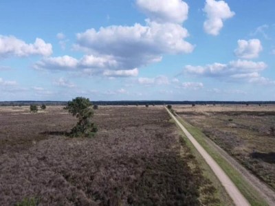 Holiday house Pets Welcome, Veluwe Farmhouses for All - Environment photo 52