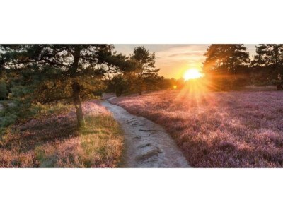 Holiday house Pets Welcome, Veluwe Farmhouses for All - Environment photo 59