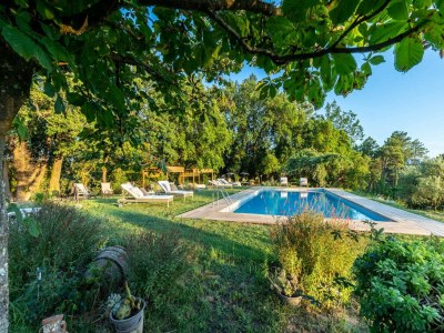 Villa Villa in Tuscany with Pool and Spa - Outdoor photo 69
