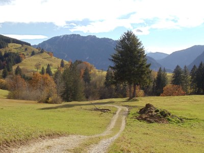 Holiday apartment Siegmund - Environment photo 15