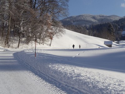 Holiday apartment Siegmund - Environment photo 18