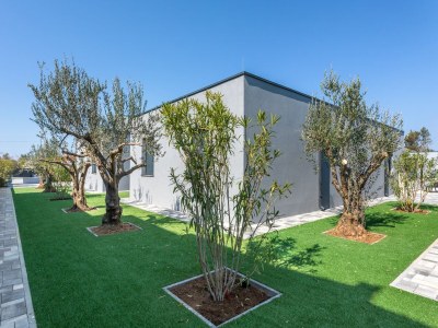 Holiday house Holiday Home in Vir near Jadro Beach - Outdoor photo 3