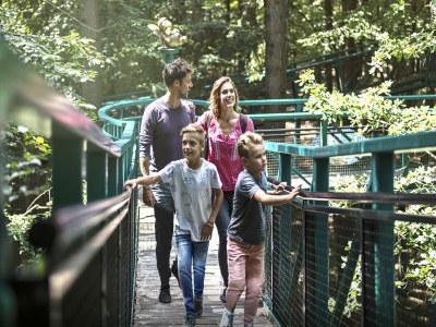 Holiday park Wellness Escape for Two in Drenthe - Environment photo 8