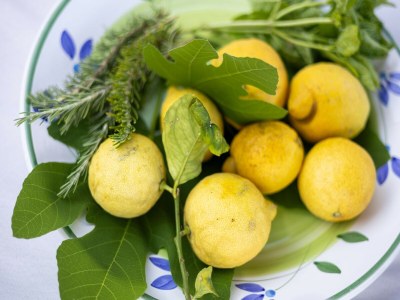 Villa Apartment in Sicily near Ski Slopes - Outdoor photo 41